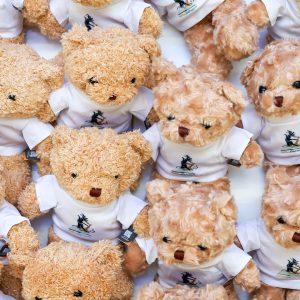 bear_2